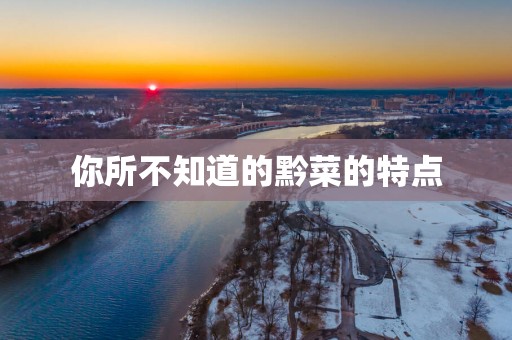 你所不知道的黔菜的特点