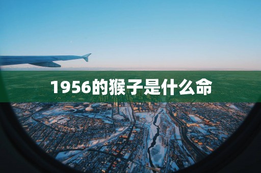 1956的猴子是什么命