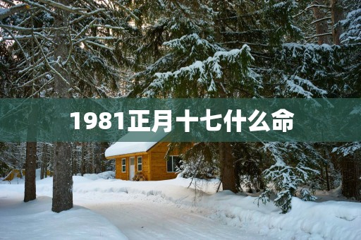 1981正月十七什么命