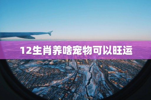12生肖养啥宠物可以旺运