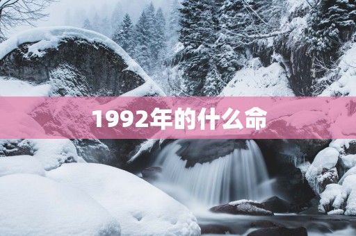 1992年的什么命