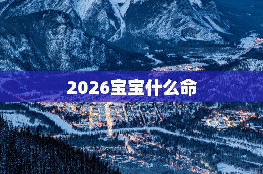 2026宝宝什么命