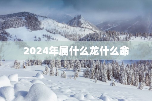 2025年属什么龙什么命