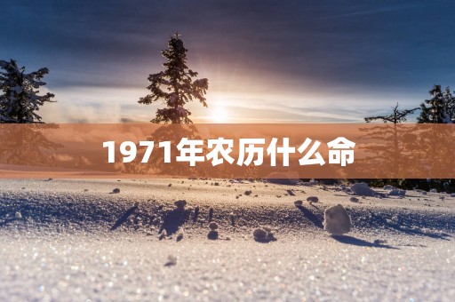 1971年农历什么命