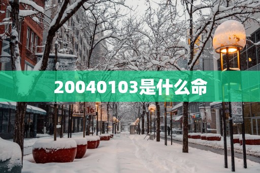 20040103是什么命