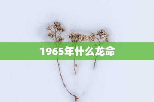 1965年什么龙命