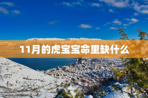 11月的虎宝宝命里缺什么