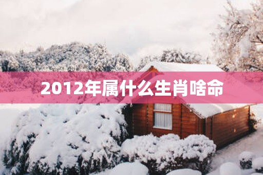 2012年属什么生肖啥命
