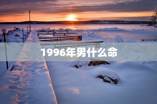 1996年男什么命