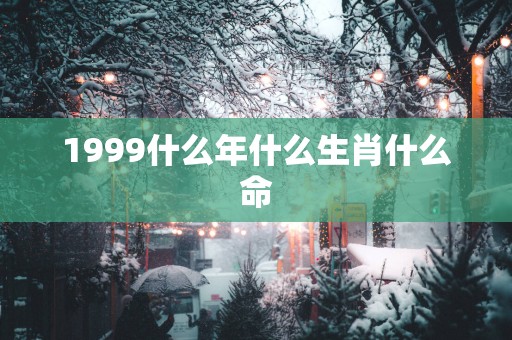 1999什么年什么生肖什么命