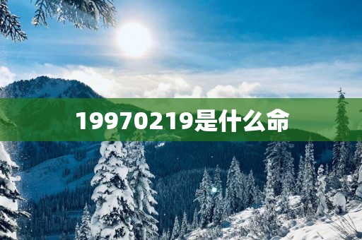 19970219是什么命