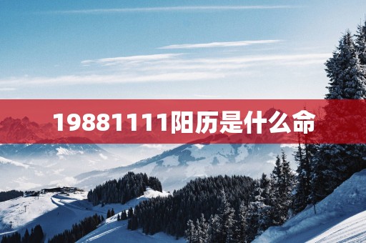 19881111阳历是什么命