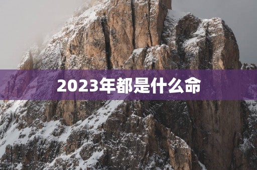 2025年都是什么命