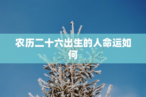 农历二十六出生的人命运如何