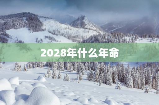 2028年什么年命
