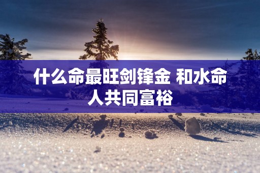 什么命最旺剑锋金 和水命人共同富裕