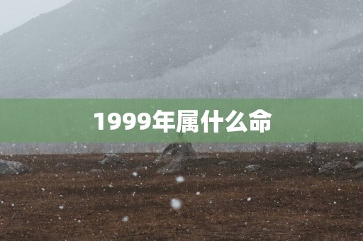 1999年属什么命