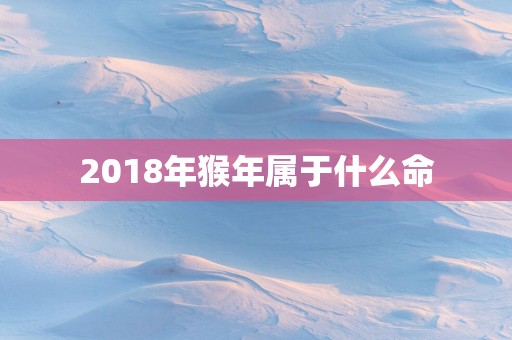 2018年猴年属于什么命