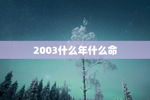 2003什么年什么命