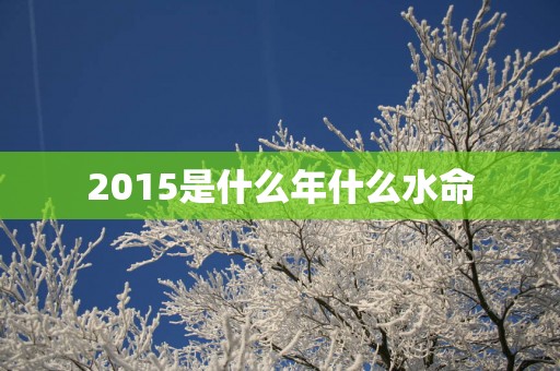 2015是什么年什么水命