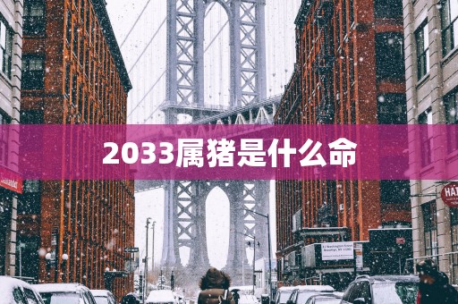 2033属猪是什么命