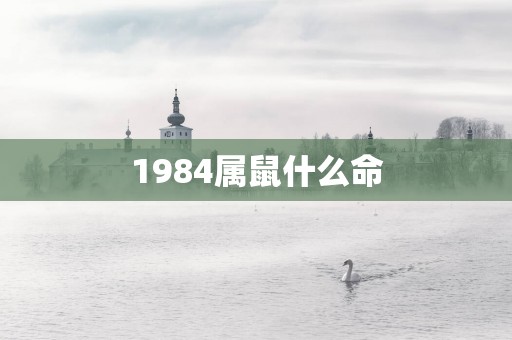 1984属鼠什么命