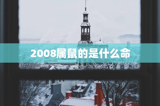 2008属鼠的是什么命