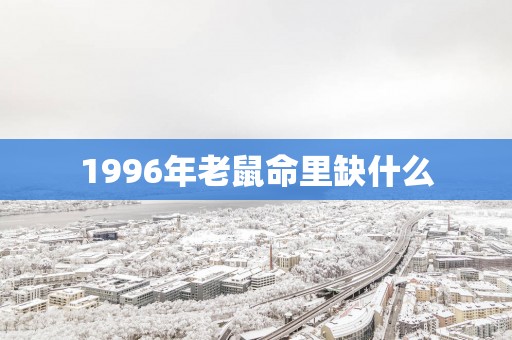 1996年老鼠命里缺什么