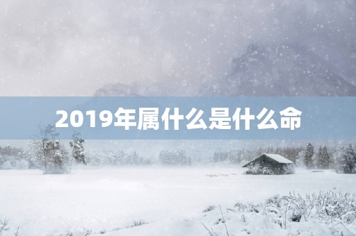 2019年属什么是什么命