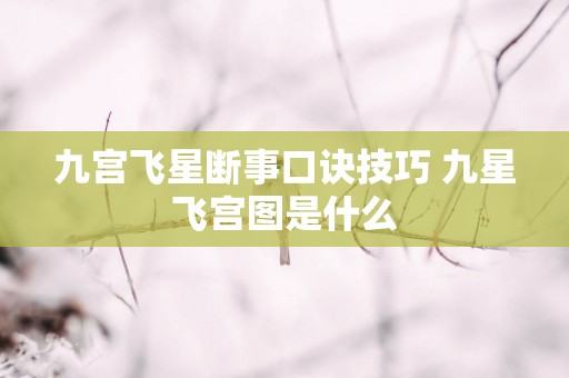 九宫飞星断事口诀技巧 九星飞宫图是什么