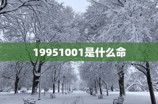 19951001是什么命