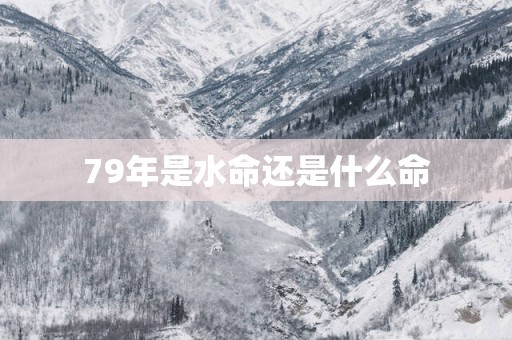 79年是水命还是什么命