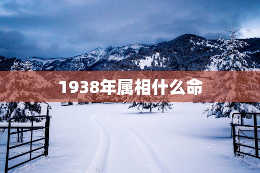 1938年属相什么命