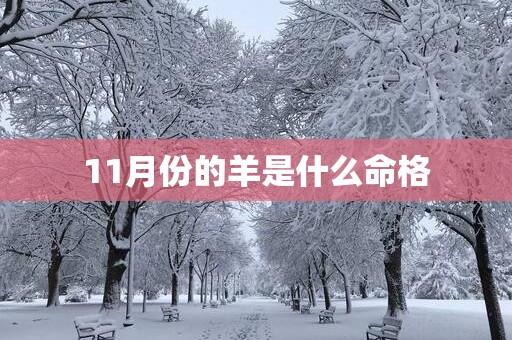 11月份的羊是什么命格