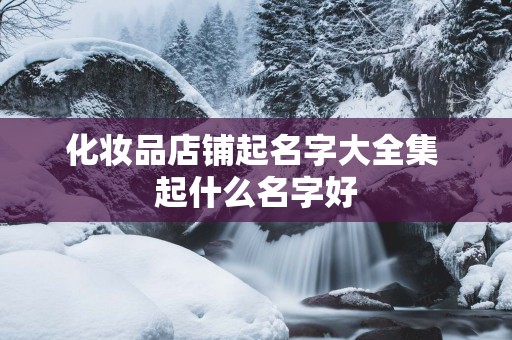 化妆品店铺起名字大全集 起什么名字好
