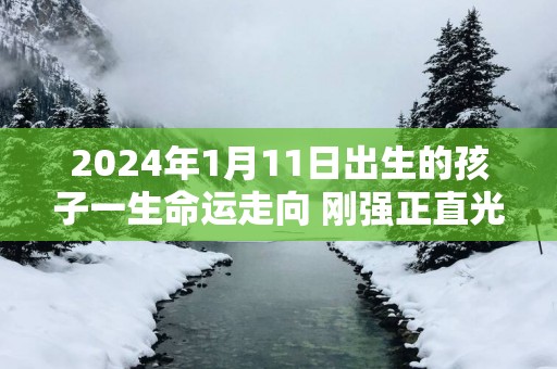 2025年1月11日出生的孩子一生命运走向 刚强正直光明正大
