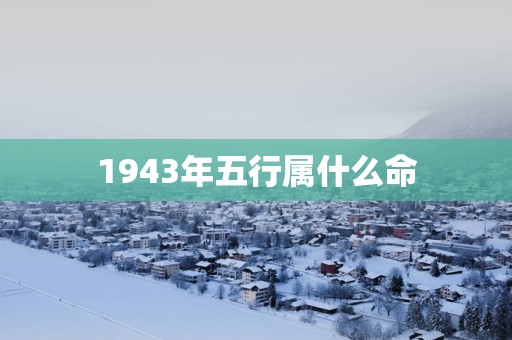 1943年五行属什么命