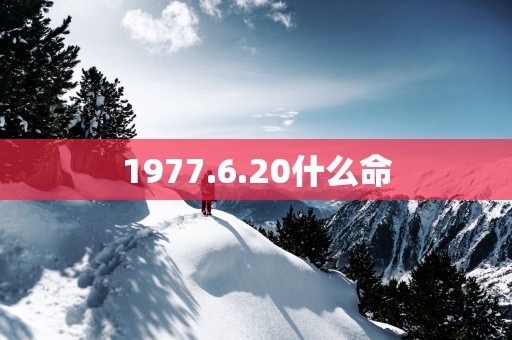 1977.6.20什么命