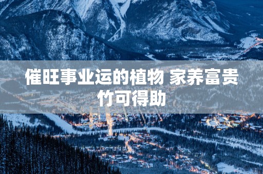 催旺事业运的植物 家养富贵竹可得助