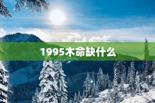 1995木命缺什么