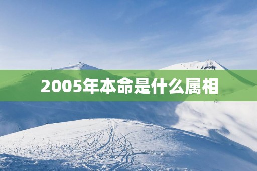 2005年本命是什么属相