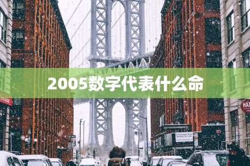 2005数字代表什么命