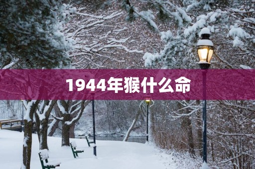 1944年猴什么命
