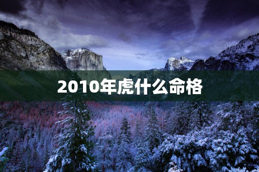 2010年虎什么命格