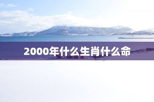 2000年什么生肖什么命