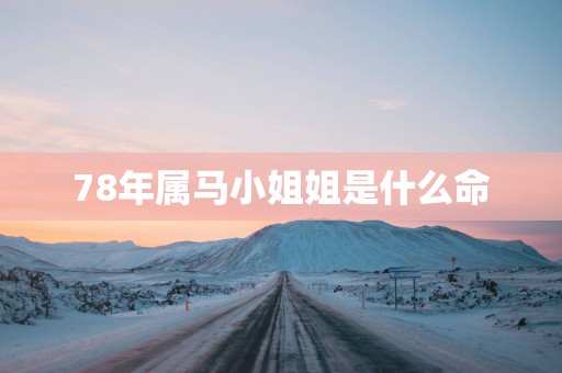 78年属马小姐姐是什么命