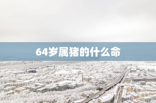 64岁属猪的什么命
