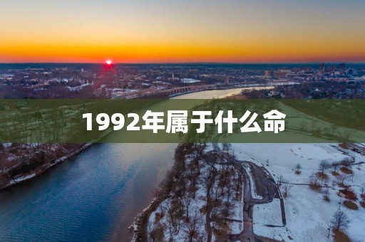 1992年属于什么命