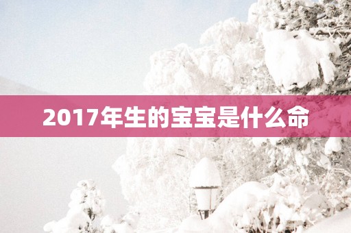 2017年生的宝宝是什么命