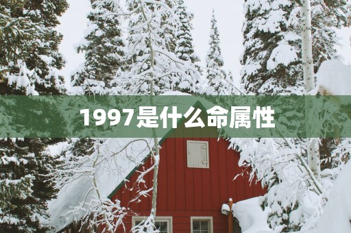 1997是什么命属性